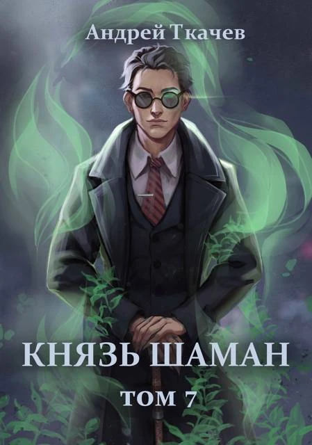 Книга Князь шаман. Том 7