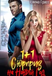 Книга 1 + 1. Сюрприз на Новый год