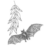 Иллюстрация к книге — Шепот в тишине. Мистические истории [book-illustration-22.webp]