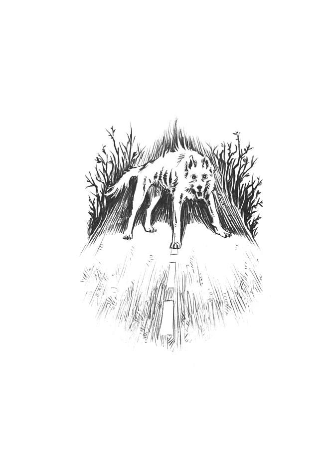 Иллюстрация к книге — Приходи вчера [book-illustration-14.webp]