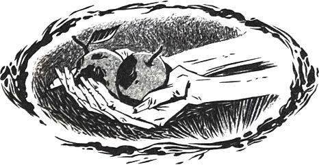 Иллюстрация к книге — Радио «Морок» [book-illustration-5.webp]