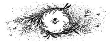 Иллюстрация к книге — Бессмертник [book-illustration-13.webp]