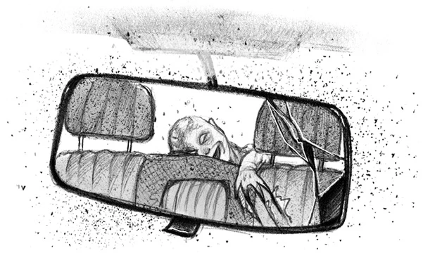 Иллюстрация к книге — Бессмертник [book-illustration-31.webp]