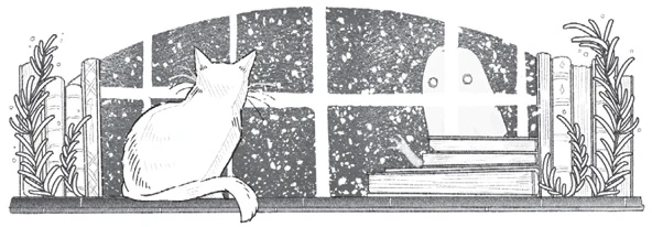 Иллюстрация к книге — Шесть зимних ночей [book-illustration-2.webp]