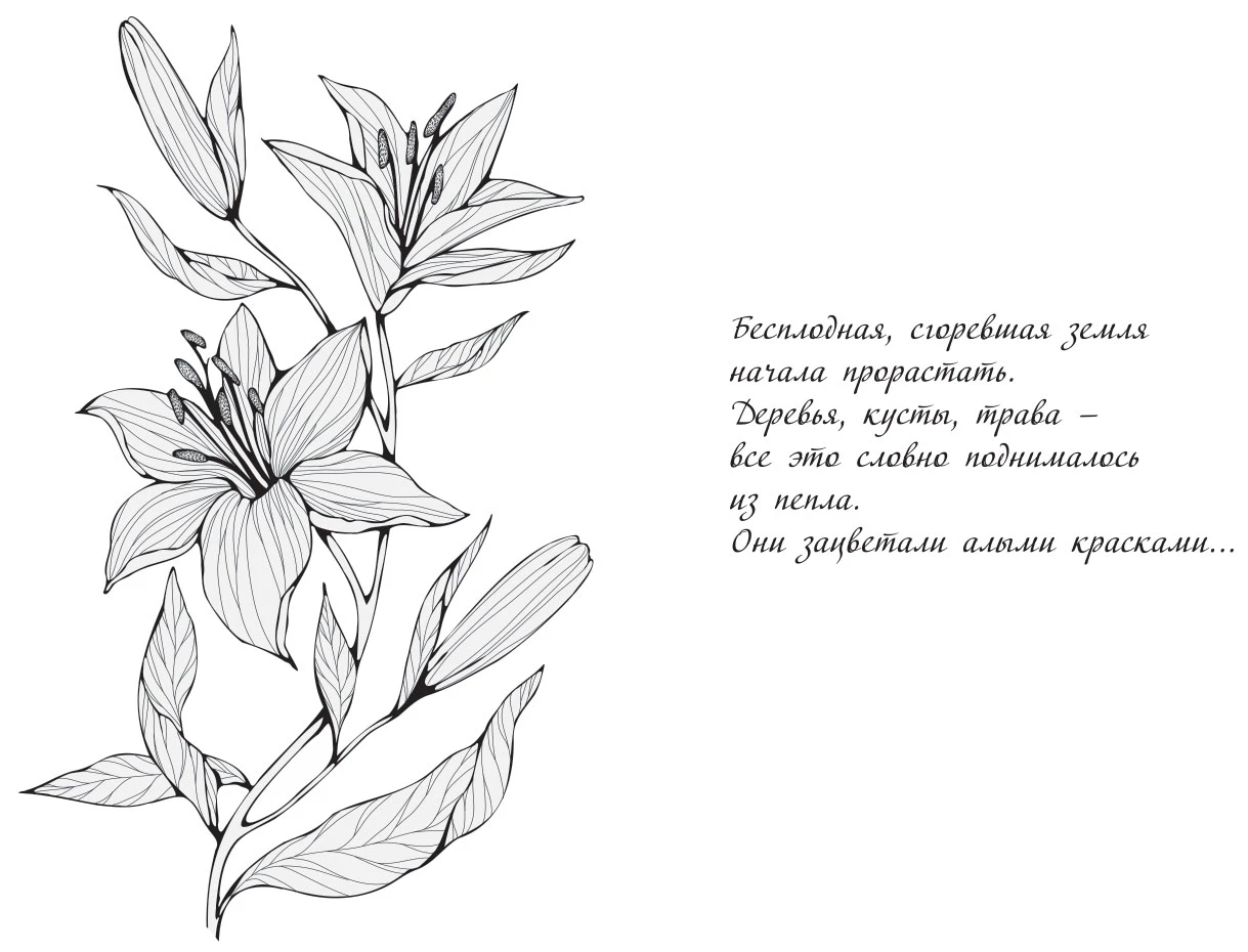 Иллюстрация к книге — Руины в цветах [book-illustration-1.webp]