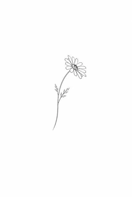 Иллюстрация к книге — На эту и на ту набью тебе тату. Том 1 [book-illustration-4.webp]