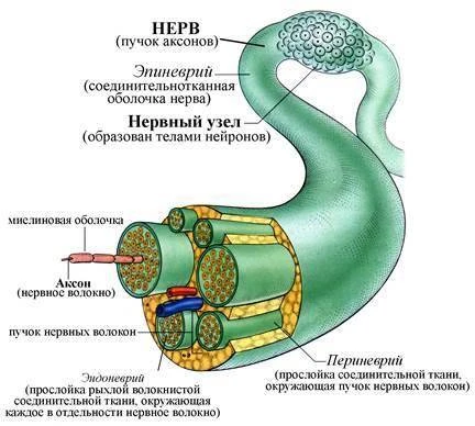 Иллюстрация к книге — Спасите меня, Кацураги-сан! Том 10 [book-illustration-1.webp]