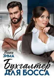 Книга Бухгалтер для Босса