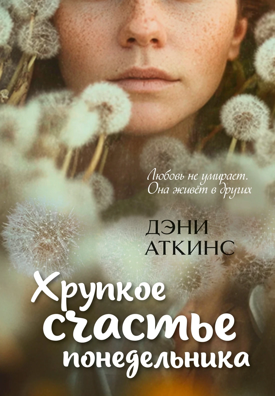 Книга Хрупкое счастье понедельника
