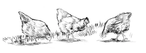 Иллюстрация к книге — Медвежий брод [book-illustration-7.webp]
