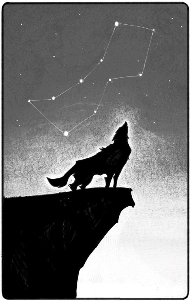 Иллюстрация к книге — Терра и тайна созвездий. Книга I [book-illustration-8.webp]