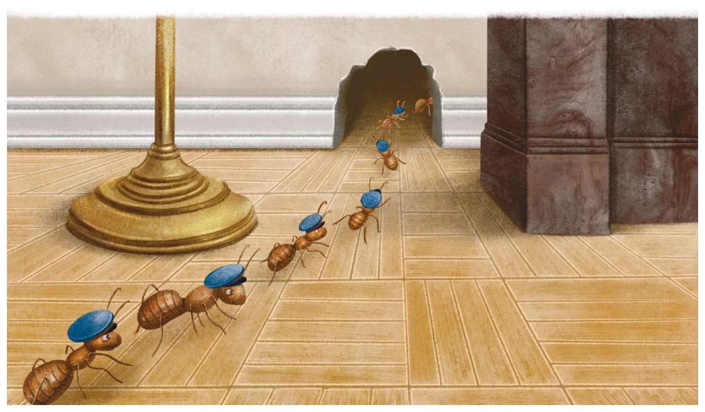 Иллюстрация к книге — Мяу! Из Петербурга [book-illustration-26.webp]