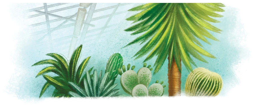 Иллюстрация к книге — Мяу! Из Петербурга [book-illustration-34.webp]