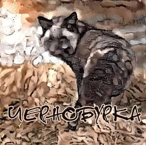 Иллюстрация к книге — Пока летит монета [book-illustration-5.webp]