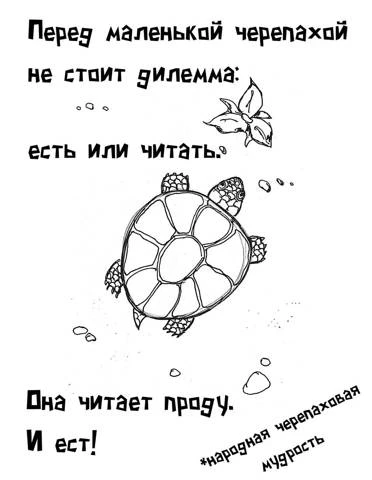 Иллюстрация к книге — Дороги, которые... [book-illustration-1.webp]