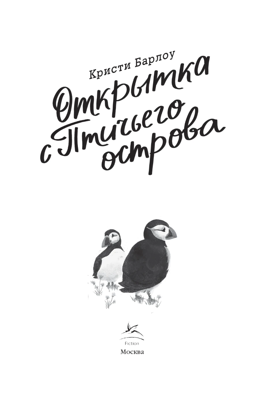 Иллюстрация к книге — Открытка с Птичьего острова [book-illustration-3.webp]