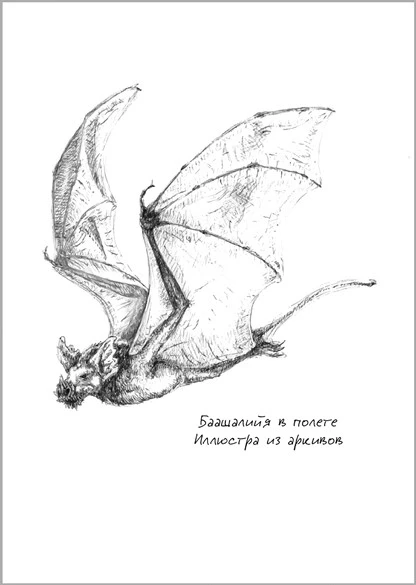 Иллюстрация к книге — Павшая луна: комплект из 2 книг [book-illustration-11.webp]
