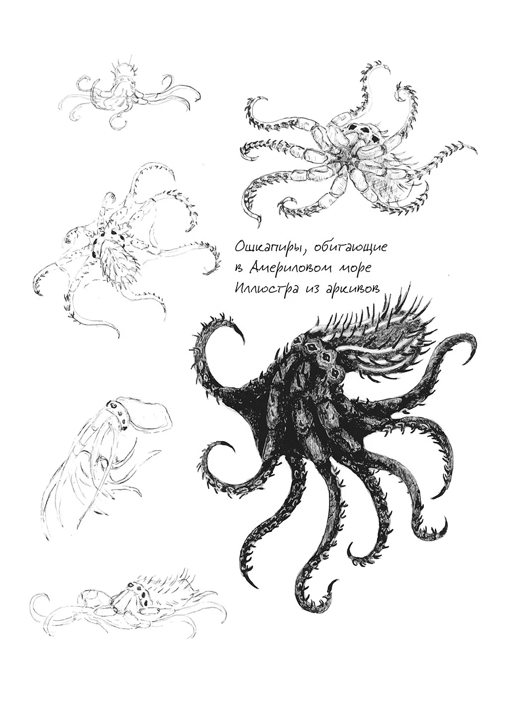 Иллюстрация к книге — Павшая луна: комплект из 2 книг [book-illustration-24.webp]