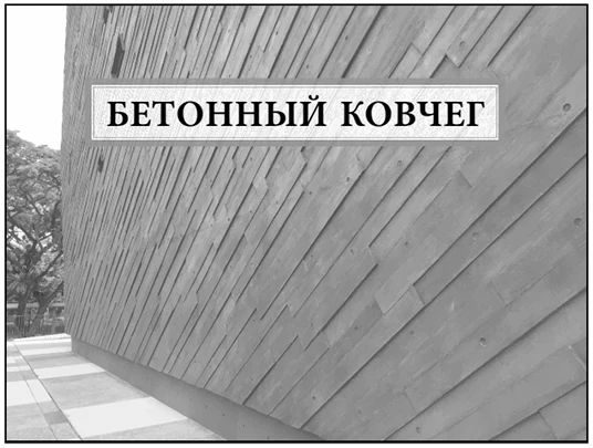 Иллюстрация к книге — Волна огня [book-illustration-12.webp]