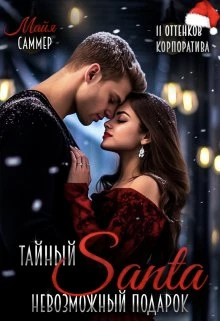 Книга Тайный Санта. Невозможный подарок