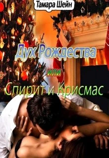 Книга Дух Рождества или Спирит и Крисмас