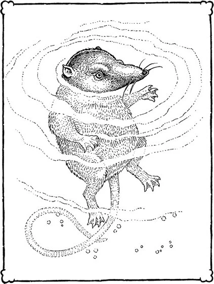 Иллюстрация к книге — Сфинкс, дракон и девочка с птицей [book-illustration-46.webp]