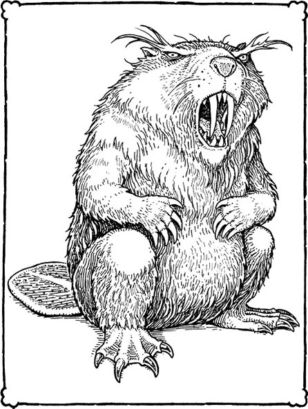 Иллюстрация к книге — Невероятные создания [book-illustration-6.webp]