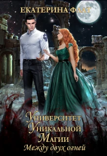 Книга Между двух огней