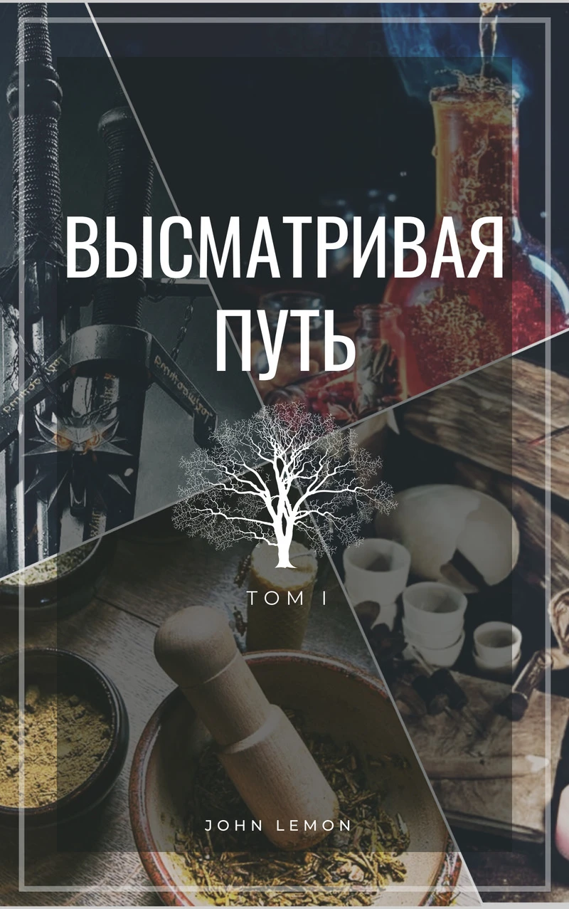 Книга Высматривая путь. Том I