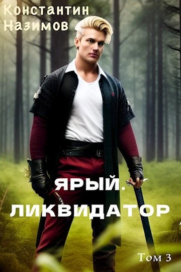 Книга Ярый. Ликвидатор