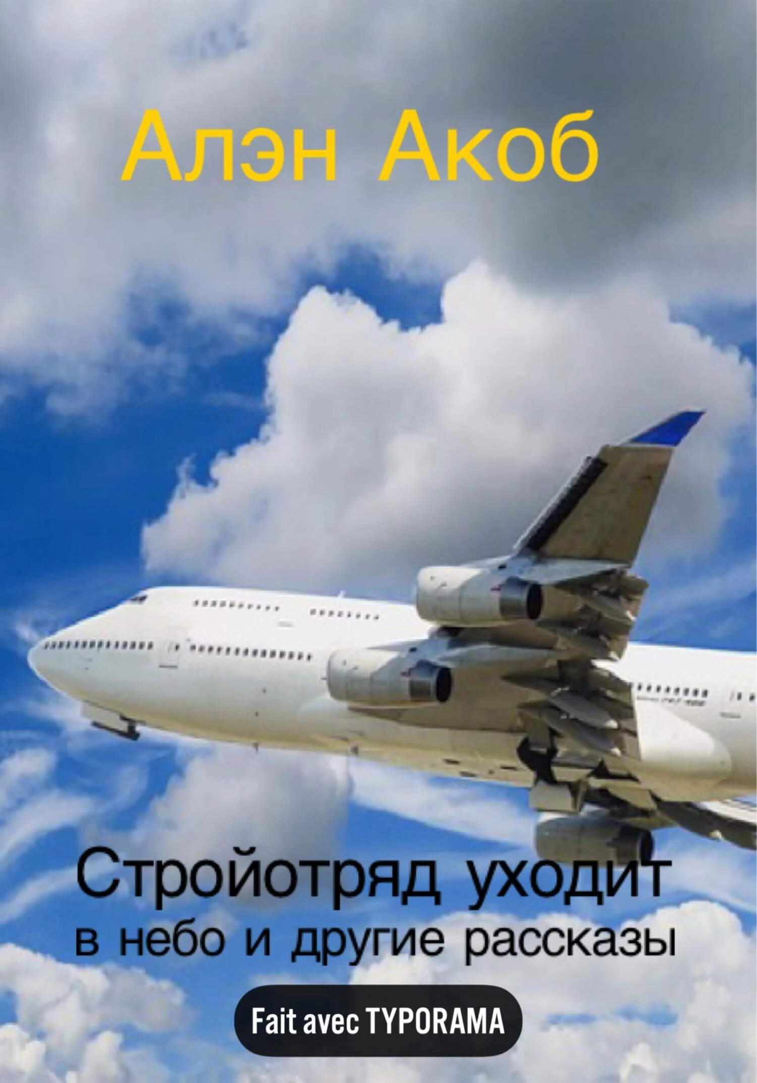 Книга Стройотряд уходит в небо