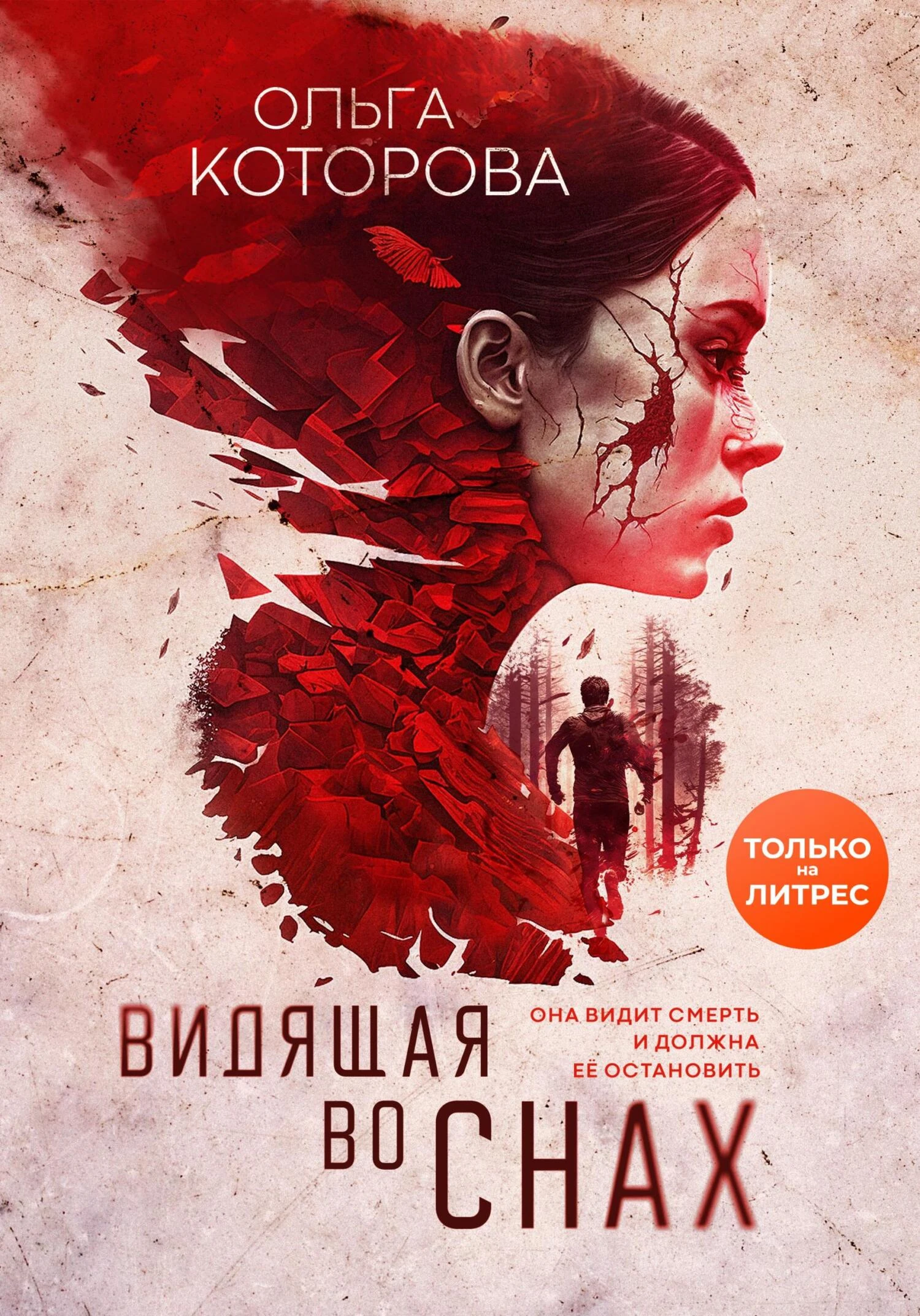Книга Видящая во снах