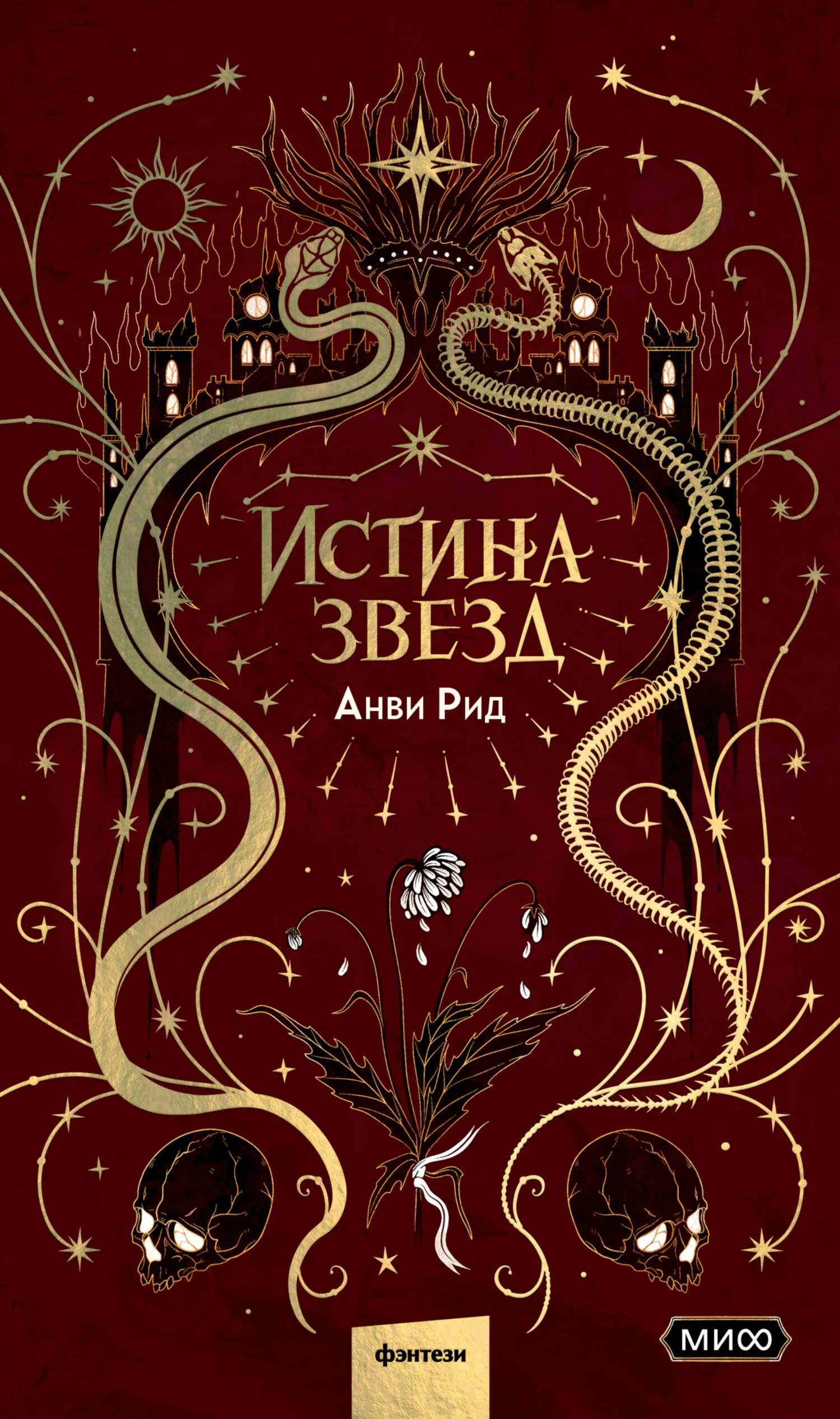 Книга Истина звезд
