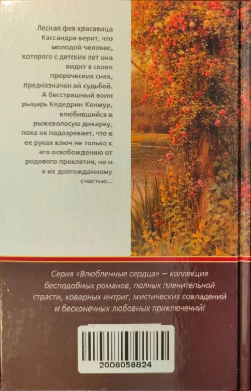 Иллюстрация к книге — Дикие сны Кассандры [book-illustration-1.webp]