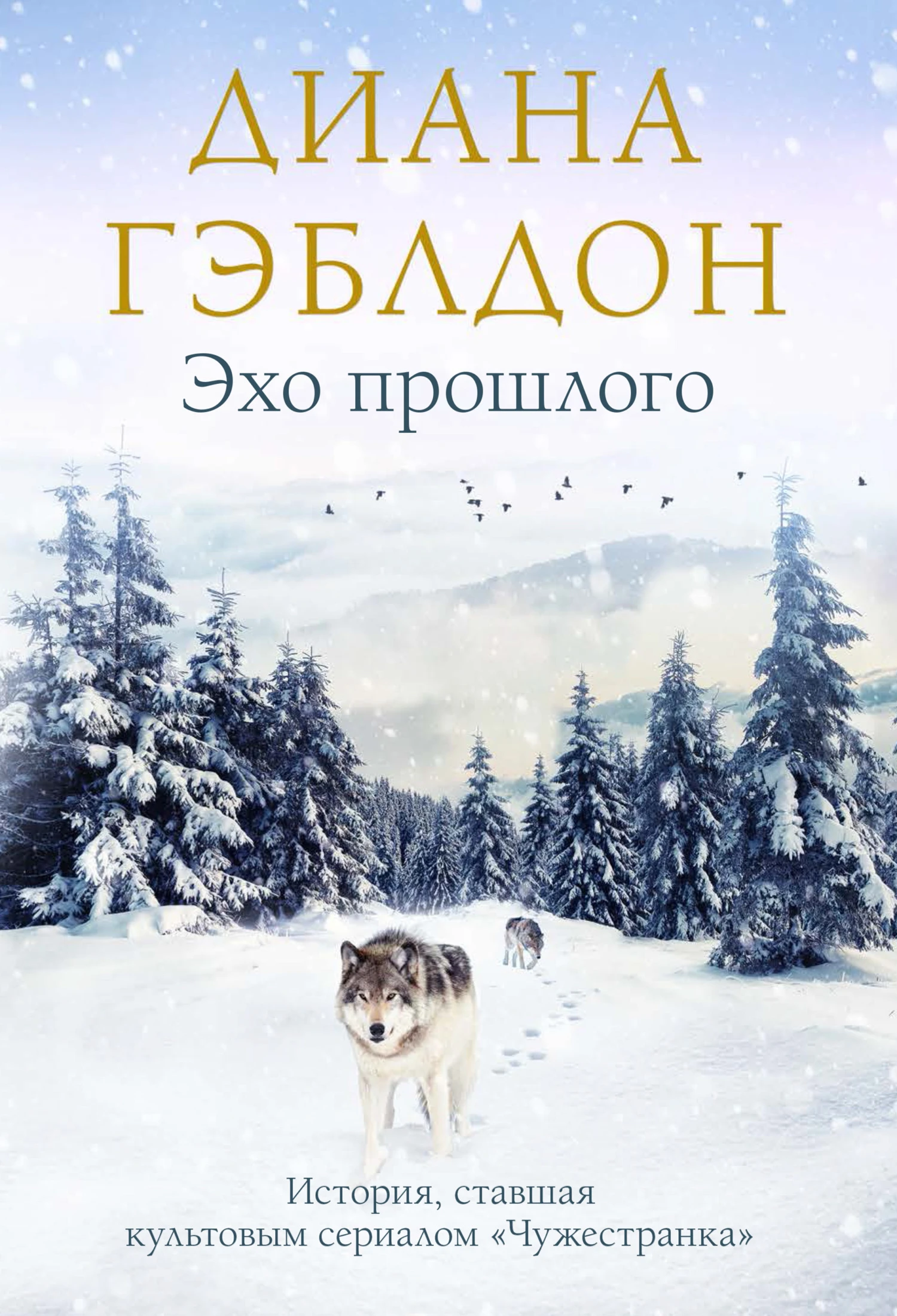 Книга Эхо прошлого