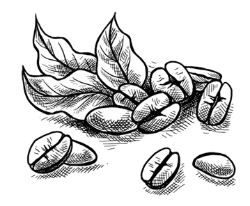 Иллюстрация к книге — Холодный кофе, или Одиночество Офелии Коулман [book-illustration-8.webp]