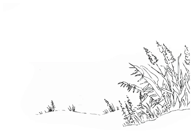 Иллюстрация к книге — Дотронуться до сердца [book-illustration-34.webp]