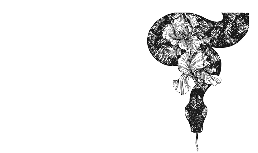 Иллюстрация к книге — Спаси меня, если сможешь [book-illustration-4.webp]