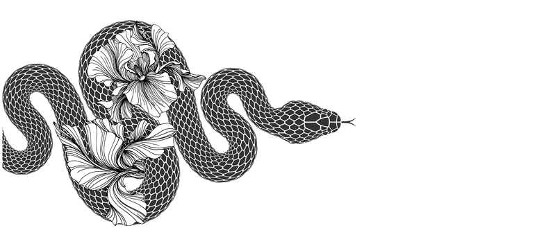 Иллюстрация к книге — Спаси меня, если сможешь [book-illustration-5.webp]