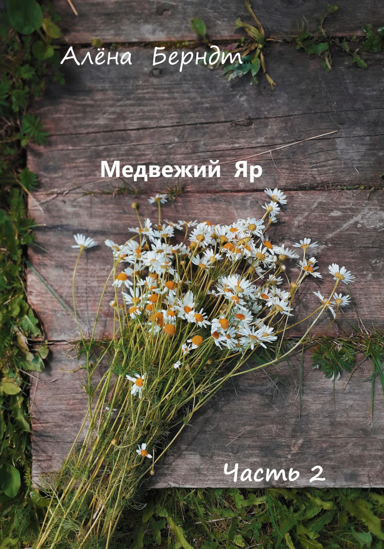 Книга Медвежий Яр. Часть 2