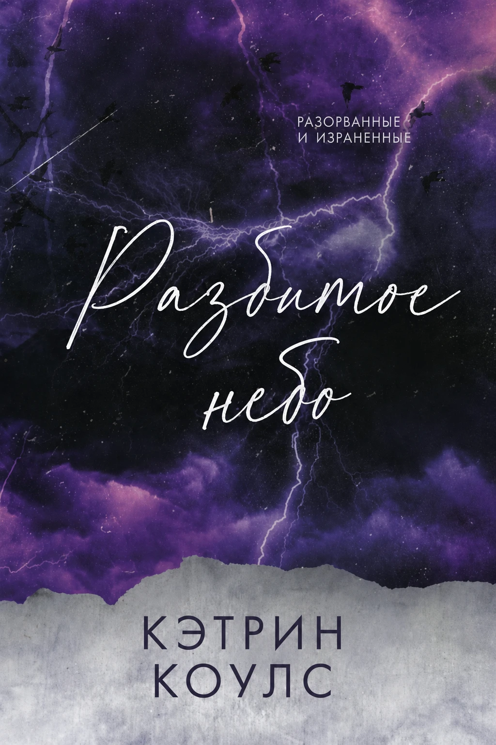 Книга Разбитое небо