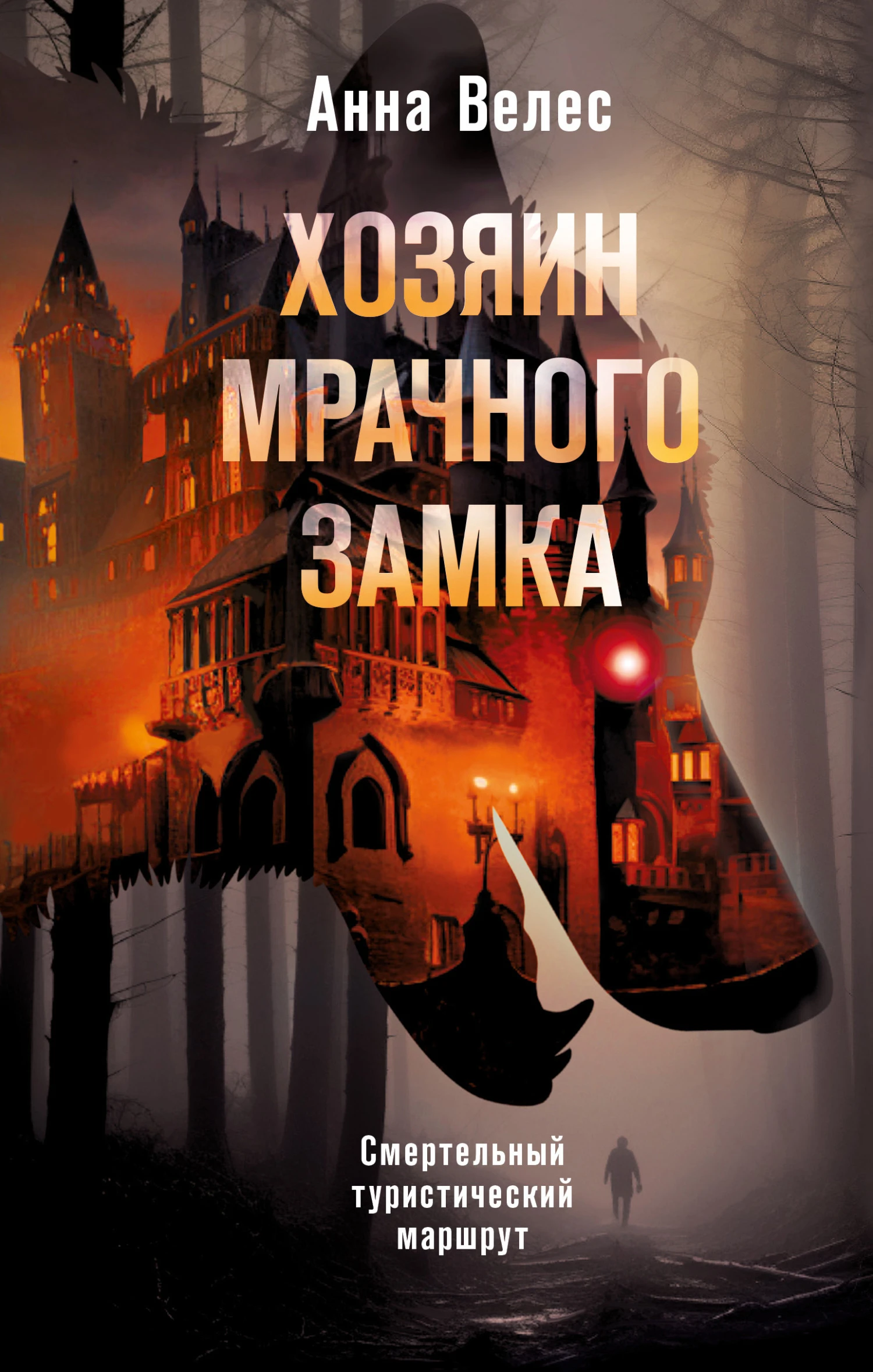 Книга Хозяин мрачного замка