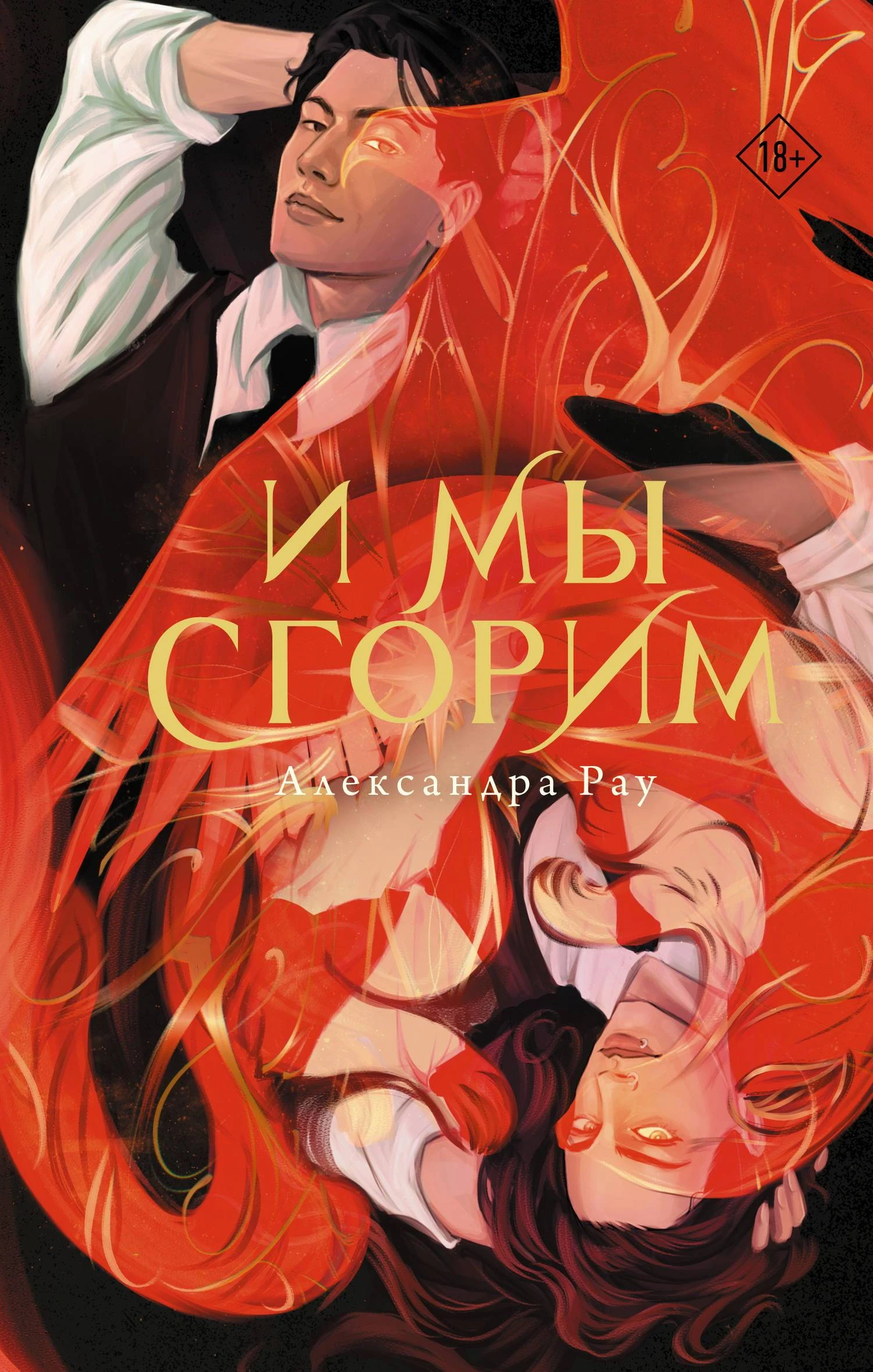 Книга И мы сгорим