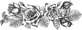 Иллюстрация к книге — Арахнид [book-illustration-34.webp]