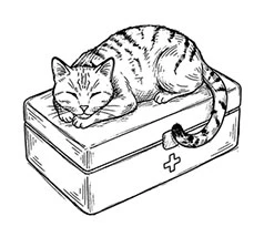 Иллюстрация к книге — Свежие сплетни для настоящей лентяйки [book-illustration-5.webp]