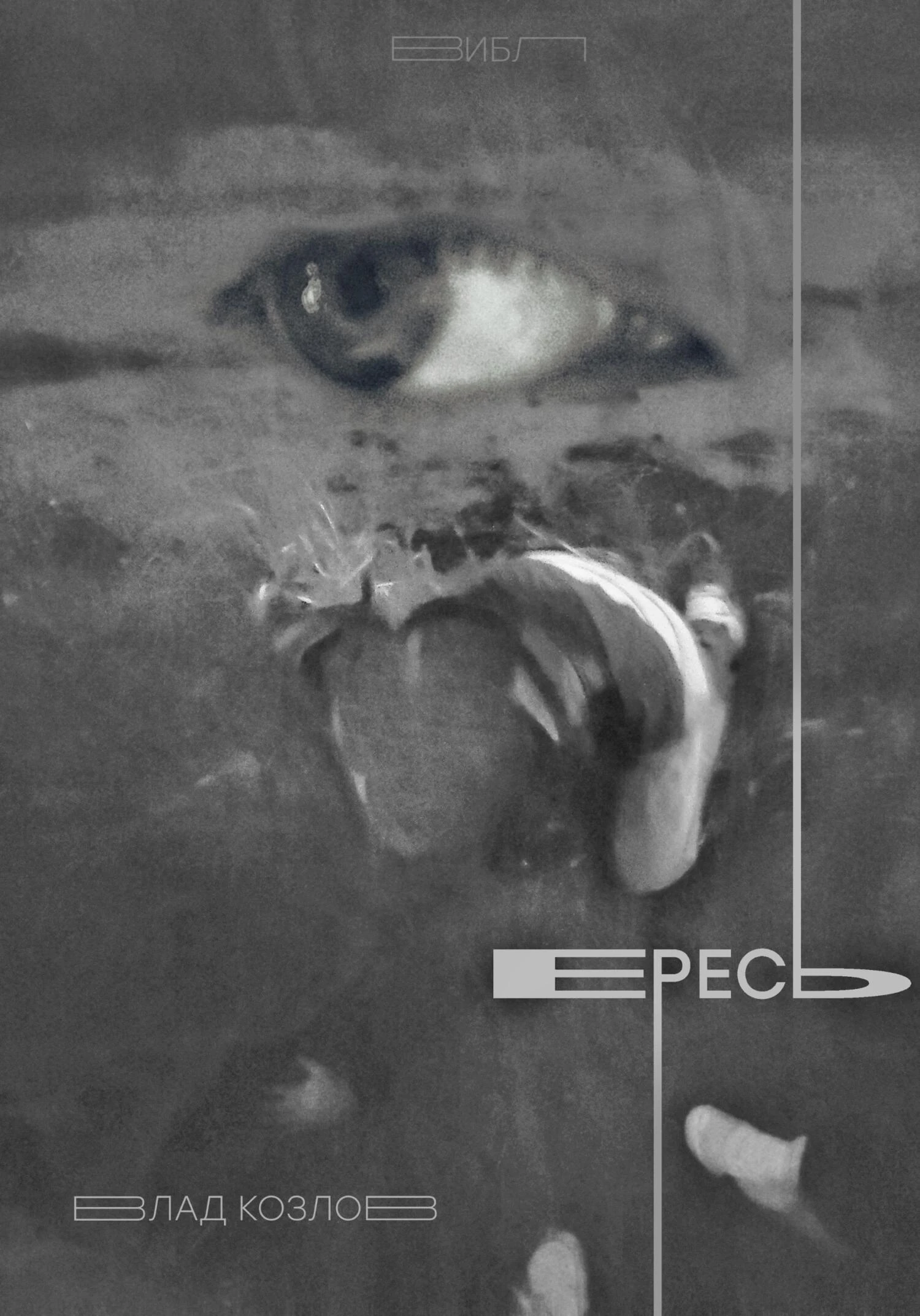 Книга Ересь