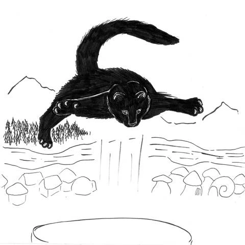 Иллюстрация к книге — Приключения Фыси [book-illustration-9.webp]