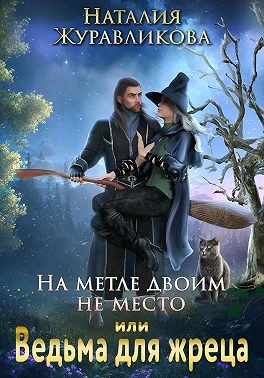 Книга На метле двоим не место, или Ведьма для жреца