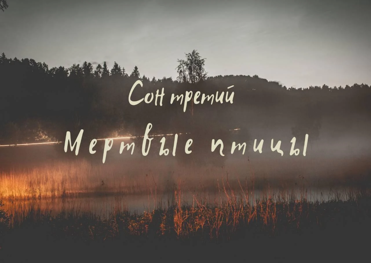 Иллюстрация к книге — Волк в ее голове [book-illustration-13.webp]