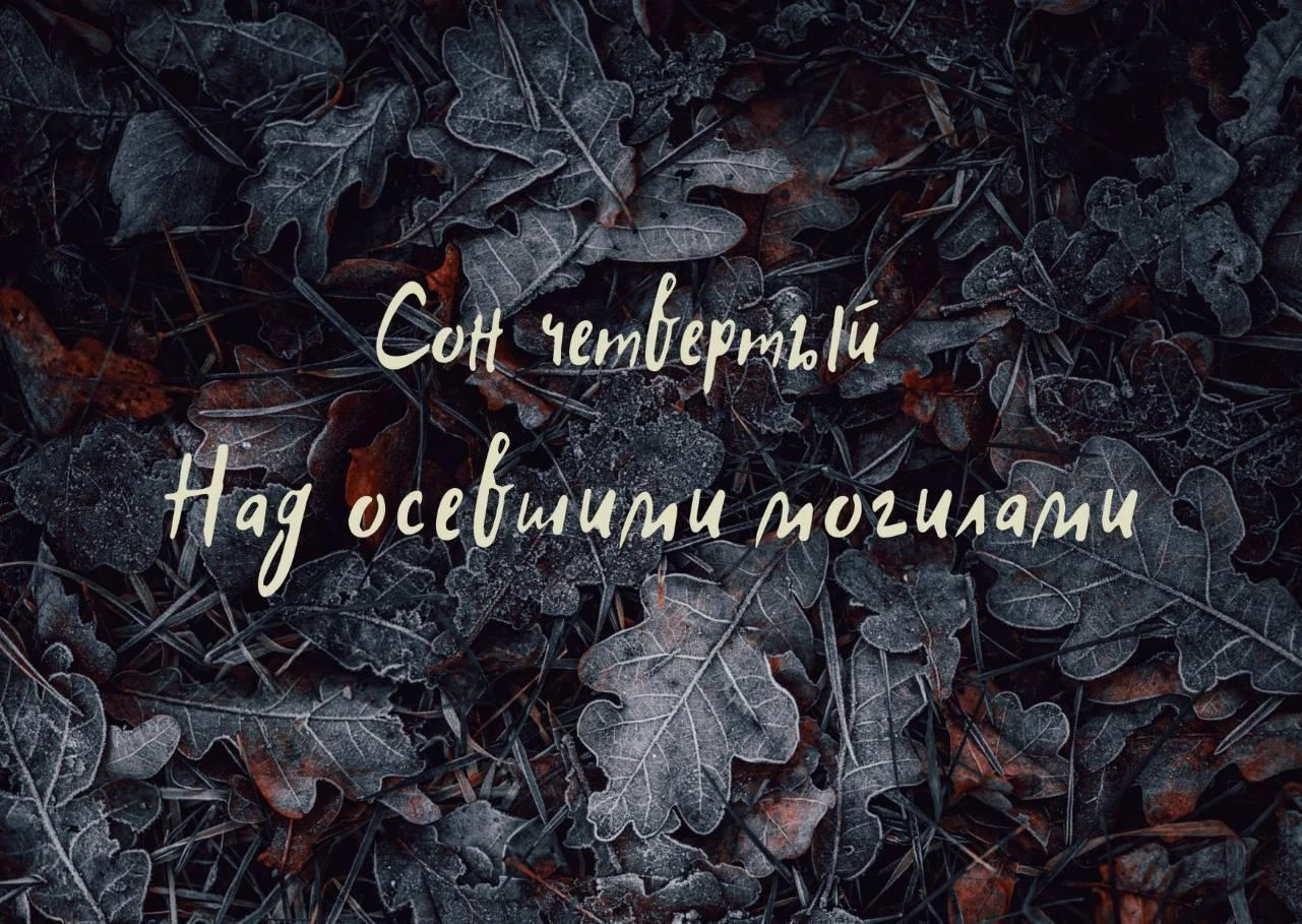 Иллюстрация к книге — Волк в ее голове [book-illustration-14.webp]